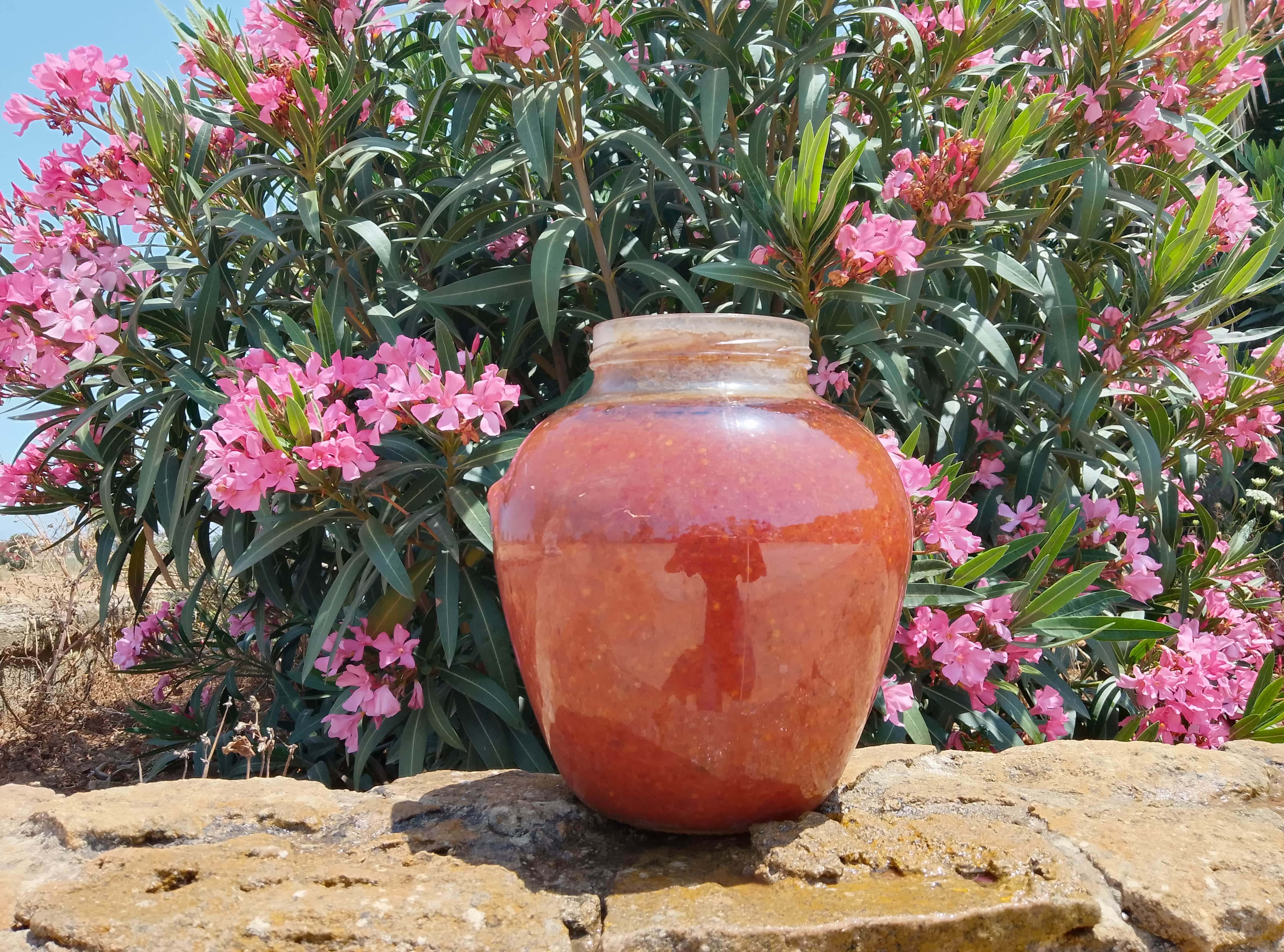 CAROLINA REAPER MASH 4 KGS special aged 12 YEARS OLD BOTTLE IN BULALA